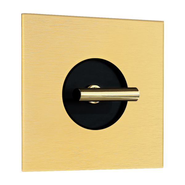 INTERRUPTOR TWENTY EN ORO MATE CON MECANISMO ROTATIVO